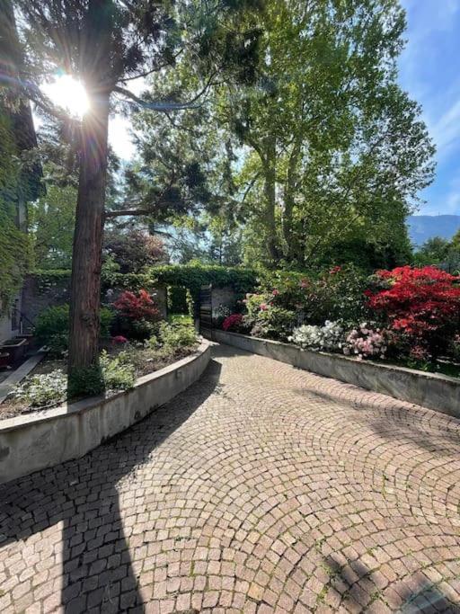 Ferienwohnung Domus Aurea Bozen Exterior foto
